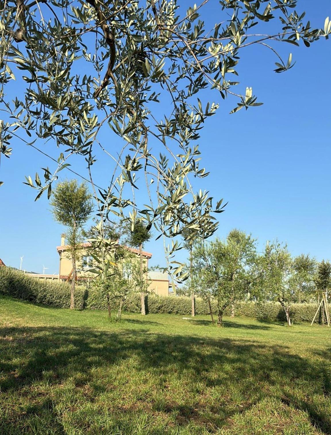 Masseria Spinale Wine Resort Melfi Bagian luar foto